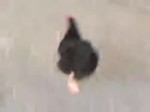14663442847960.webm