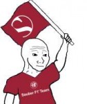 sauber.png