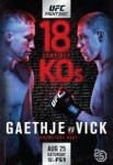UFCFightNightLincolnGaethjevs.Vick.jpg
