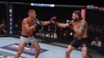 1531018743008.webm