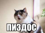 пиздос 14605768372330.jpg