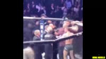 This footage of the Brawl between Team Khabib vs Team McGre[...].webm