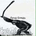 images.jpeg