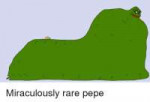 miraculously-rare-pepe-22022781.png
