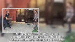 дураев и кот.mp4