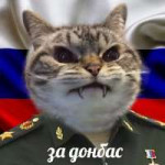 image.jpeg