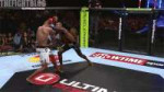 jacare.gif