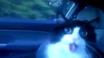 picture-65482.gif