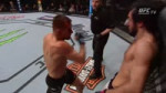 bochniak.webm