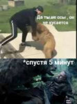 55-LfWgldpU.jpg