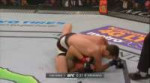 холокост в октагоне.gif
