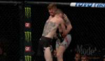 4.gif