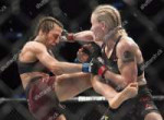 ufc-mixed-martial-arts-championship-toronto-canada-shutters[...].jpg
