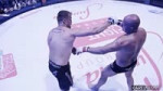 b276fb3b59.720.mp4