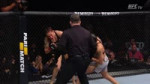 nunes-vs-cyborg.replay-4.webm