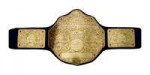 World-Heavyweight-Championship-Belt-WCW-WWE-Title-Belt-Cham[...].jpg