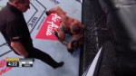 UFC.FN.142.mp4