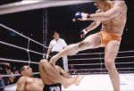 sakuraba-roylergracie.jpg