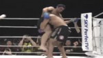 Paulo Filho MMA Highlights.webm