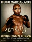 tbook review-anderson silva.jpg