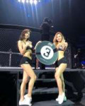 onefc5.jpg