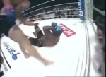 Fedor vs Goodridge.mp4