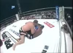 Fedor vs Goodridge.mp4