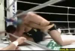 Fedor Emelianenko vs Minotauro Nogueira.mp4