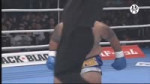 【大巨人！】シュルト 制圧KO トップ15 Top 15 Knockouts of Sem Schilt.mp4