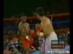 Pernell Whitaker -  Cant Be Touched.mp4