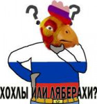 хохлы или либерахи.png