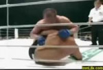 Fedor Emelianenko vs Minotauro Nogueira.mp4