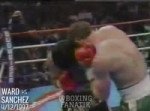 Boxing knockouts Mickey Ward vs Alfonso Sanchez 4121997 [36[...].webm