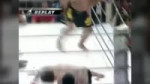 Aleksander EmelianenKO DESTROYS Super MMA Fighter ON ROiDS.mp4