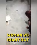 15693758774093.webm