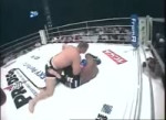 Fedor vs Goodridge.mp4