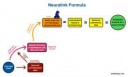 Neuralink-formula-5-1