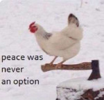 peacewasneveranoption.jpg