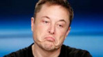 Musk-26047964.jpg