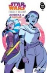 forces-of-destiny-ahsoka-padme-cover-b-675x1024.jpg