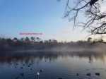 Black-Park-Swamp-Fog.jpg