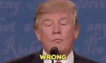 1479206864-donald-trump-wrong[1].gif