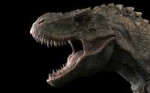 AncientanimalsDinosaursTyrannosaurusrexRoar5344882560x1600[[...].jpg