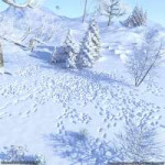 Flinks Snow Grounds 1.jpg