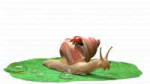 snail.png