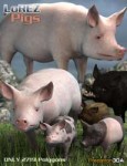 lorez-pigs-large.jpg