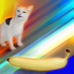 кот и банан 2.png