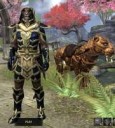 2017-08-20 173329-Elder Scrolls Online