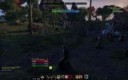 pve1