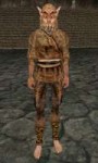 Gaenor[1]